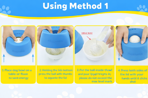 PetsAreUs Slow Feeder Dog Bowl