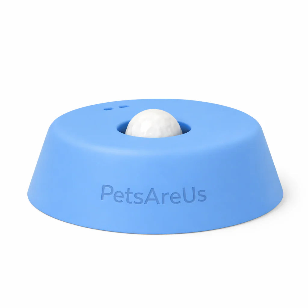 PetsAreUs Slow Feeder Dog Bowl
